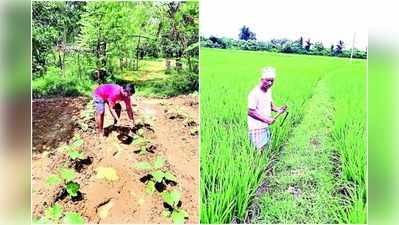 విశాఖ: కరోనా ఎఫెక్ట్.. వ్యవసాయం చేసుకుంటున్న టీచర్లు