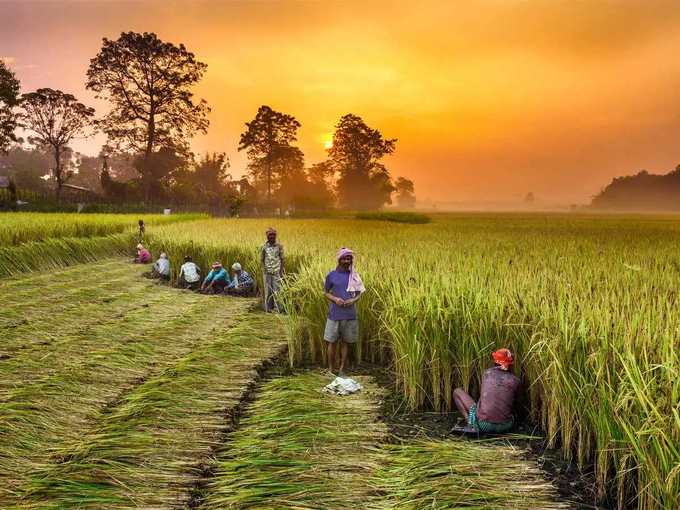 किसान संगठन कर रहे हैं जोरदार विरोध