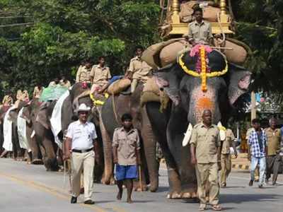 ಅಂಬಾರಿ ಕೆಲಸದಿಂದ ಅರ್ಜುನನಿಗೆ ಮುಕ್ತಿ, ಇನ್ನೈದು ವರ್ಷ ಅಭಿಮನ್ಯುವಿಗೆ ಜವಾಬ್ದಾರಿ