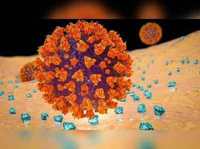 વૈજ્ઞાનિકોને કોરોના વાયરસનો સંપૂર્ણ ખાત્મો કરતા નાનકડા એન્ટિબોડીઝ મળ્યા