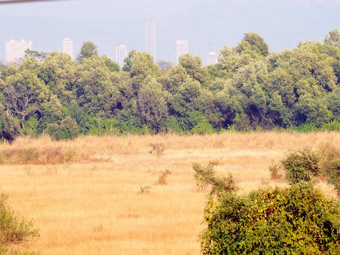 ಬಿ ಖರಾಬು ಏಕೆ ಪ್ರಾಮುಖ್ಯ?