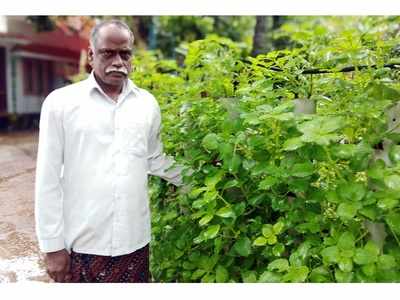 നിലം വേണ്ട, പിവിസി പൈപ്പ് മതി; വയനാട്ടുകാരനായ വര്‍ഗീസിന്‍റെ കൃഷിരീതി വേറെ ലെവല്‍