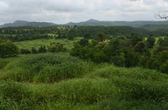 ಜೀವ ವೈವಿಧ್ಯತೆಯ ಅಧ್ಯಯನ!