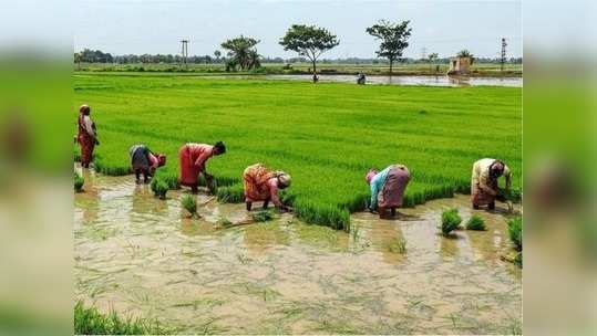 வேளாண்துறை சார்ந்த சட்டங்களுக்கு எதிராக தமிழகம் முழுவதும் போராட்டம்!