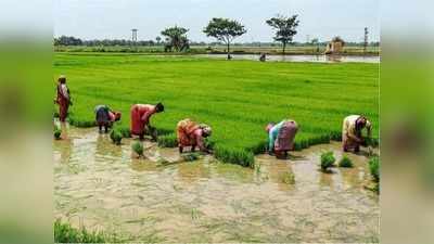 வேளாண்துறை சார்ந்த சட்டங்களுக்கு எதிராக தமிழகம் முழுவதும் போராட்டம்!