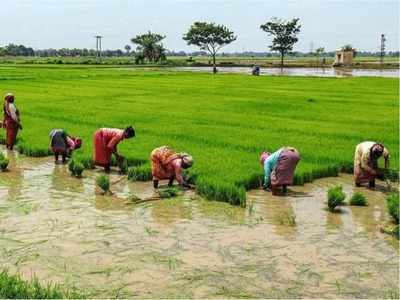 வேளாண்துறை சார்ந்த சட்டங்களுக்கு எதிராக தமிழகம் முழுவதும் போராட்டம்!