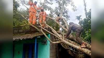 വയനാട്ടില്‍ മഴ തുടരുന്നു; ഹെക്ടര്‍ കണക്കിന് നെല്‍കൃഷി വെള്ളത്തിനടിയില്‍, ബാണാസുര ഡാം ഷട്ടറുകള്‍ വീണ്ടുമുയര്‍ത്തി