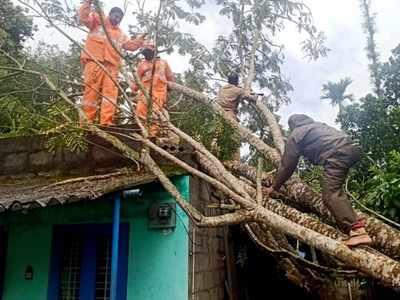 വയനാട്ടില്‍ മഴ തുടരുന്നു; ഹെക്ടര്‍ കണക്കിന് നെല്‍കൃഷി വെള്ളത്തിനടിയില്‍, ബാണാസുര ഡാം ഷട്ടറുകള്‍ വീണ്ടുമുയര്‍ത്തി