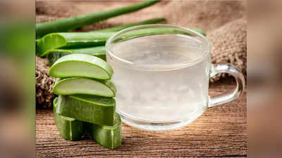 aloe vera benefits: एलोवेरा को रात भर चेहरे पर लगाने से क्या होता है, पढ़ें