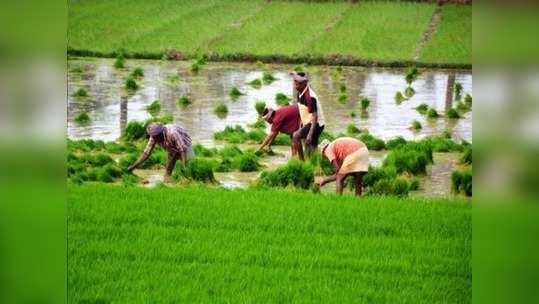 புதிய வேளாண் மசோதாக்களால் தமிழக விவசாயிகளுக்கு பாதிப்பா; உண்மை என்ன?