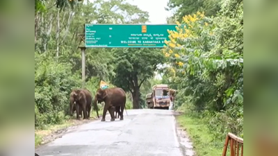 ಚಾಮರಾಜನಗರ: ಆನೆಗಳ ಕಬ್ಬಿನಾಸೆಗೆ ಹೆದ್ದಾರಿ ಬಂದ್..! ಗಜರಾಜನ ಕಾಟಕ್ಕೆ ವಾಹನ ಸಂಚಾರ ದುಸ್ತರ