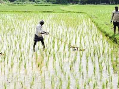 ஆளுக்கு ரூ.4,000; விவசாயிகளுக்கு ஹேப்பி நியூஸ் - கைகொடுக்கும் மாநில அரசு!