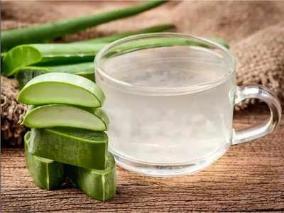 Aloe Vera Benefits कोरफड जेल रात्रभर चेहऱ्यावर लावून ठेवल्यास काय होते? वाचा माहिती