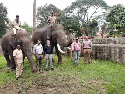 ರಾಜ್ಯದಲ್ಲಿ 9ನೇ ಆನೆ ಶಿಬಿರಕ್ಕೆ ರೂಪರೇಷೆ: ಹಾರಂಗಿ ಅಣೆಕಟ್ಟೆ ಹಿನ್ನೀರು ಪ್ರದೇಶದಲ್ಲಿ ಜಾಗ ಗುರುತು, ಸರಕಾರಕ್ಕೆ ಪ್ರಸ್ತಾವ!