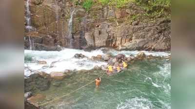 കാഞ്ഞിരപ്പുഴയിൽ ആനക്കുട്ടിയുടെ ജഡം; വെള്ളച്ചാട്ടത്തിൽ വീണു പോയതാകാമെന്ന് നിഗമനം