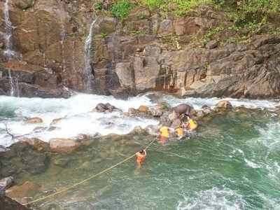 കാഞ്ഞിരപ്പുഴയിൽ ആനക്കുട്ടിയുടെ ജഡം; വെള്ളച്ചാട്ടത്തിൽ വീണു പോയതാകാമെന്ന് നിഗമനം