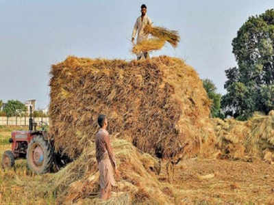 भारतीय किसान संघ की अध्यादेश लाने की मांग, बीजेपी सांसद बताएंगे नए बिल के फायदे