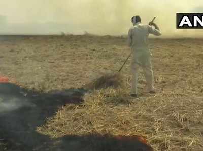 कोरोना बढ़ने की चेतावनी के बीच पंजाब में किसानों ने पराली जलानी शुरू की, बताई मजबूरी