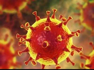 Coronavirus: नायर रुग्णालयातील चार डॉक्टरांना पुन्हा करोना