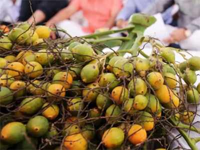 ಅಡಕೆ ಸಂಶೋಧನೆಗೆ ರಾಜ್ಯ ಸರಕಾರ ನಿರ್ಧಾರ: ಎಂಎಸ್‌ ರಾಮಯ್ಯ ಅಪ್ಲೈಡ್‌ ಸೈನ್ಸ್‌  ವಿಭಾಗದಿಂದ ಸಂಶೋಧನೆ