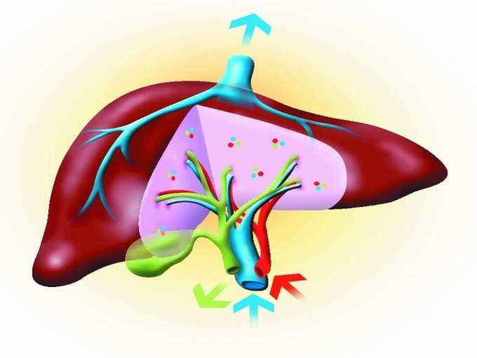 ലിവറിനെ ബാധിയ്ക്കുന്ന പ്രശ്‌നം