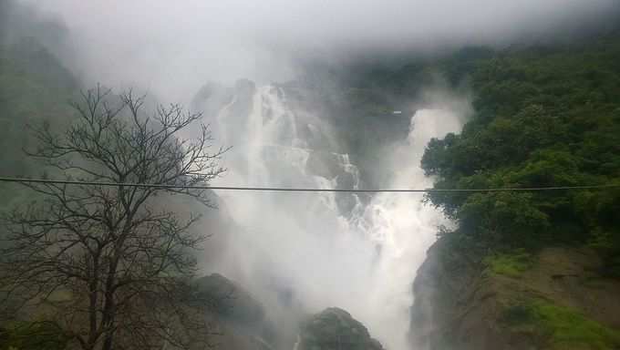 ​ಜೀಪ್ ಸಫಾರಿ