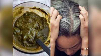 Henna for grey hair: बालों को काला करने के लिए मेहंदी में क्या मिलाएं?