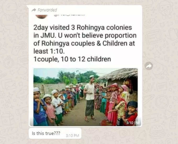 rohingya