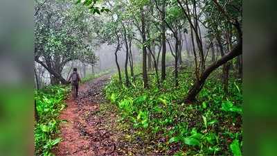 मराठवाड्यात पावसाची विश्रांती