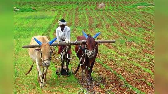 வேளாண் அவசரச் சட்டங்கள்... மூன்று சட்டங்களால் யாருக்கு லாபம்?