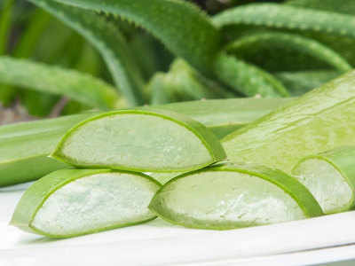 How To Eat Aloevera: ताउम्र शुगर की बीमारी से बचाकर रख सकता है ग्वारपाठा, जानें इसे खाने के और भी फायदे
