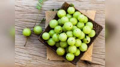 Amla Health Benefits आरोग्यासाठी कसे आणि का करावे आवळ्याचे सेवन?