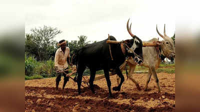 MSP, APMC, हरित क्रांति...इन 5 लोगों के ऐतिहासिक योगदान को नहीं भूलेगा भारत का किसान