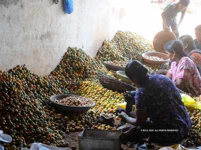 ಸೌರ ಶಾಖಾ ಘಟಕಕ್ಕೆ ಬೇಡಿಕೆ: ಅಡಕೆ, ತೆಂಗಿನಕಾಯಿ ಒಣಗಿಸಲು ಬಳಕೆ; ಸಹಾಯಧನ ಲಭ್ಯ!