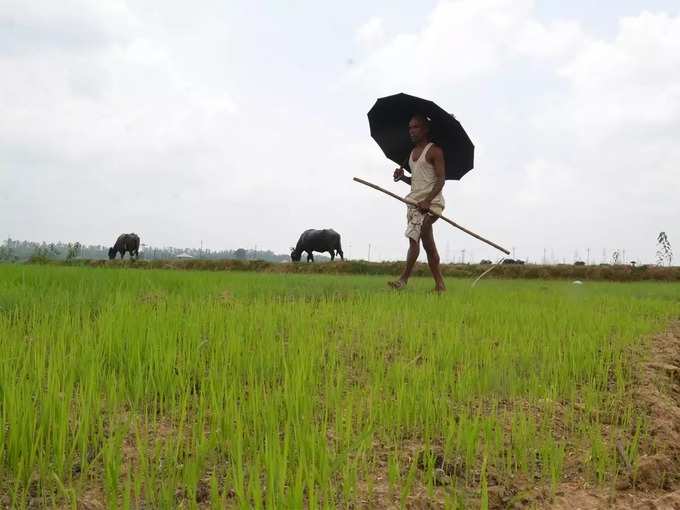 ​ಆಸಕ್ತಿ ತೋರದ ರೈತರು