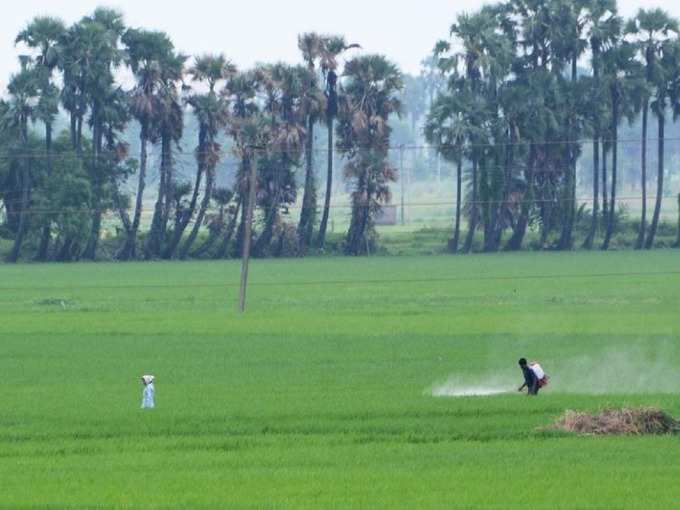 ಸಮೀಕ್ಷೆಯಲ್ಲಿ 3ನೇ ಸ್ಥಾನ!