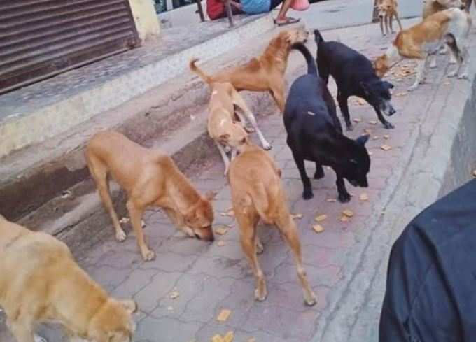 ಮಕ್ಕಳಿಗೆ ತಿಳಿವಳಿಕೆ ಕೊಡಿ