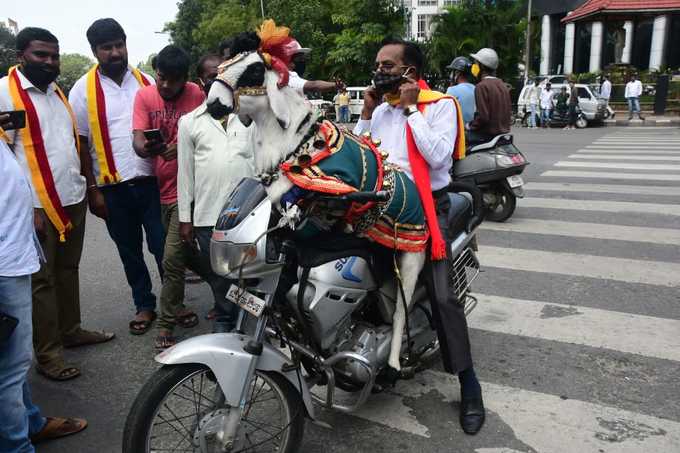 ʼಮೇಕೆ ಬೈಕ್‌ʼ ವಿನೂತನ ಪ್ರತಿಭಟನೆ.