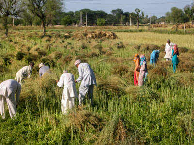कृषि बिल का 33 पूर्व IAS अधिकारियों ने किया समर्थन, कहा-किसान पहले से ज्यादा ताकतवर होंगे