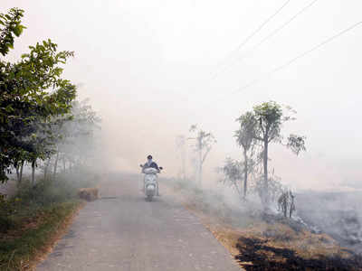 ‘पराली जलाने से कोरोना काल में दिल्ली में बढ़ सकती है समस्या’