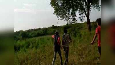 MP: बाघिन को गांव में देख हड़कंप, वन विभाग के साथ लाठी-डंडा लेकर उतरे ग्रामीण