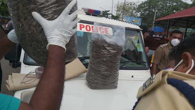 Ganja Seized in Thrissur