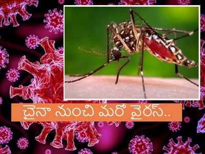 చైనా నుంచి మరో వైరస్ ముప్పు.. ICMR హెచ్చరిక