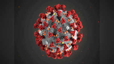 Cat Que Virus: आईसीएमआर की चेतावनी- भारत में कोहराम मचा सकता है दूसरा चीनी वायरस