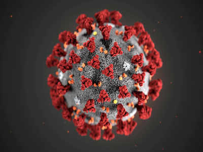 Cat Que Virus: आईसीएमआर की चेतावनी- भारत में कोहराम मचा सकता है दूसरा चीनी वायरस