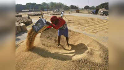 पंजाब-हरियाणा से मोदी सरकार ने 72 घंटों में की करीब 16400 टन धान की खरीद, किसानों का डर किया दूर!