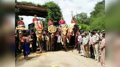 ಮೈಸೂರು ದಸರಾ: ಸಾಂಸ್ಕೃತಿಕ ನಗರಿಯಲ್ಲಿ ಜಂಬೂ ಸವಾರಿ ಗಜ ಪಡೆ ಸ್ವಾಗತ ಸಂಭ್ರಮ..!