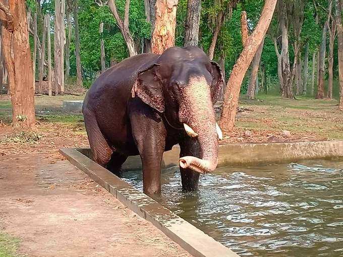 ​ಹೊಣೆ ಹೊರೆಯಾಗದಿರಲಿ