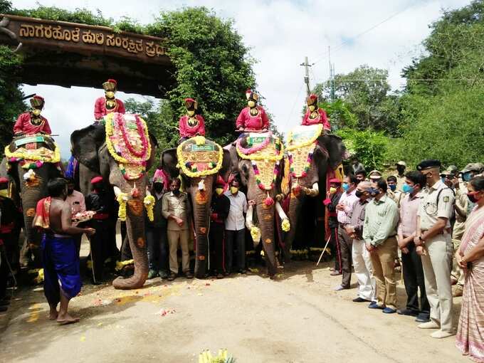 ​10 - ಮೈಸೂರು ದಸರಾ: ಸಾಂಸ್ಕೃತಿಕ ನಗರಿಗೆ ಜಂಬೂ ಸವಾರಿ ಗಜ ಪಡೆ ಎಂಟ್ರಿ..