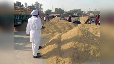सरकार ने 5 दिन में पंजाब-हरियाणा से MSP पर खरीदा करीब एक लाख टन धान